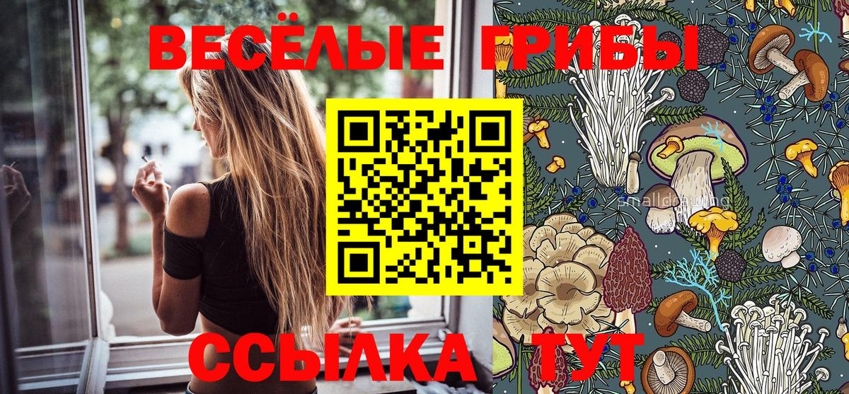 Псилоцибиновые грибы Magic Shrooms Белая Калитва